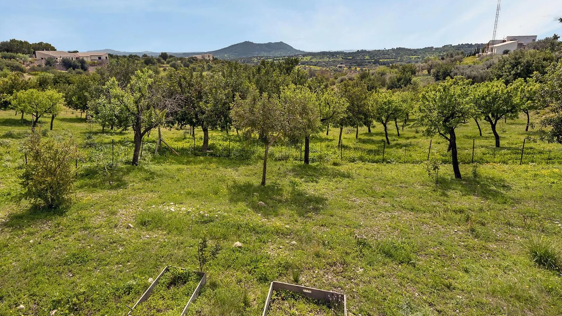 Villa Auxella Petit Moscari